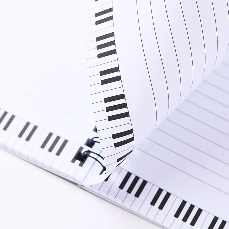 Quaderno musicale bobina taccu - Blank Sheet Music Notebook recensione e prezzo
